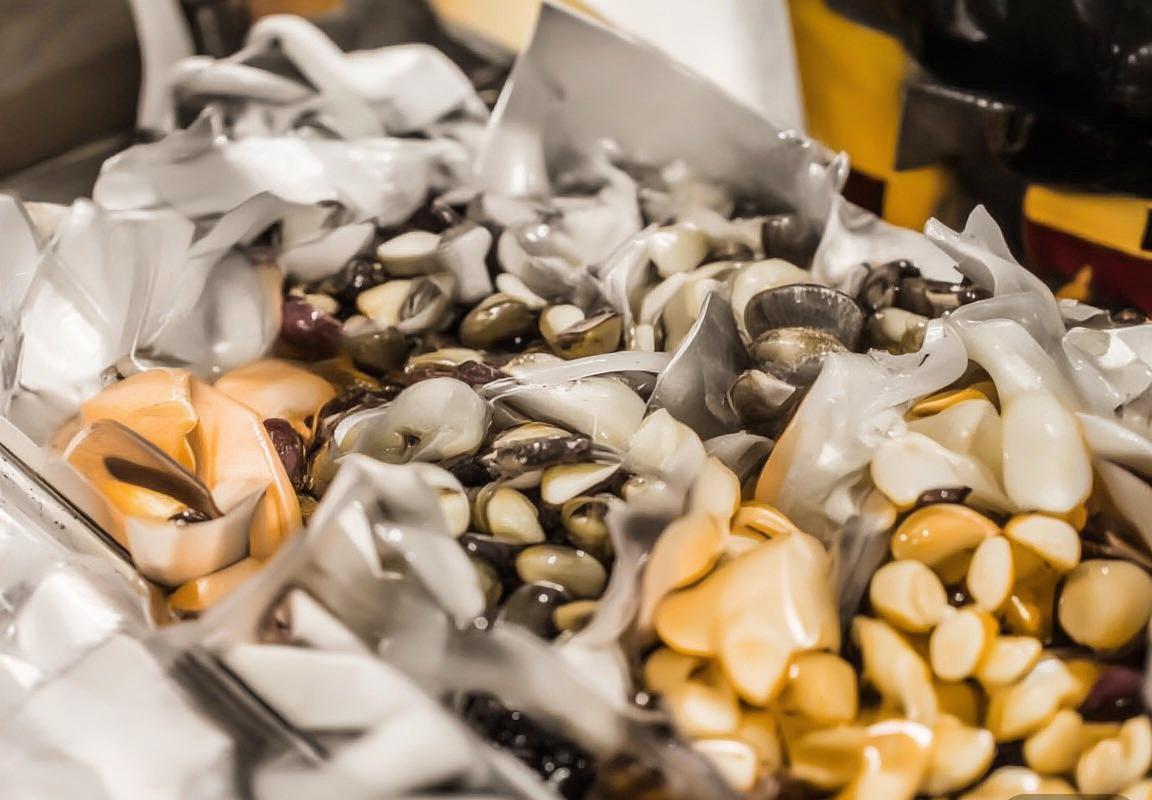 俄罗斯与波兰男篮对决前瞻：历史交锋、阵容分析及战术对决